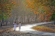 Giá cao su kỳ hạn tại Tokyo ngày 20/10 hồi phục